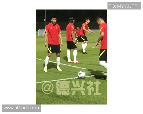 纳姓足球明星的辉煌历程与成就探秘