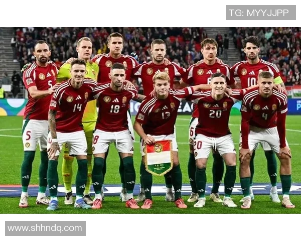 波黑足球星的崛起与挑战:从草根到国际舞台的奋斗历程